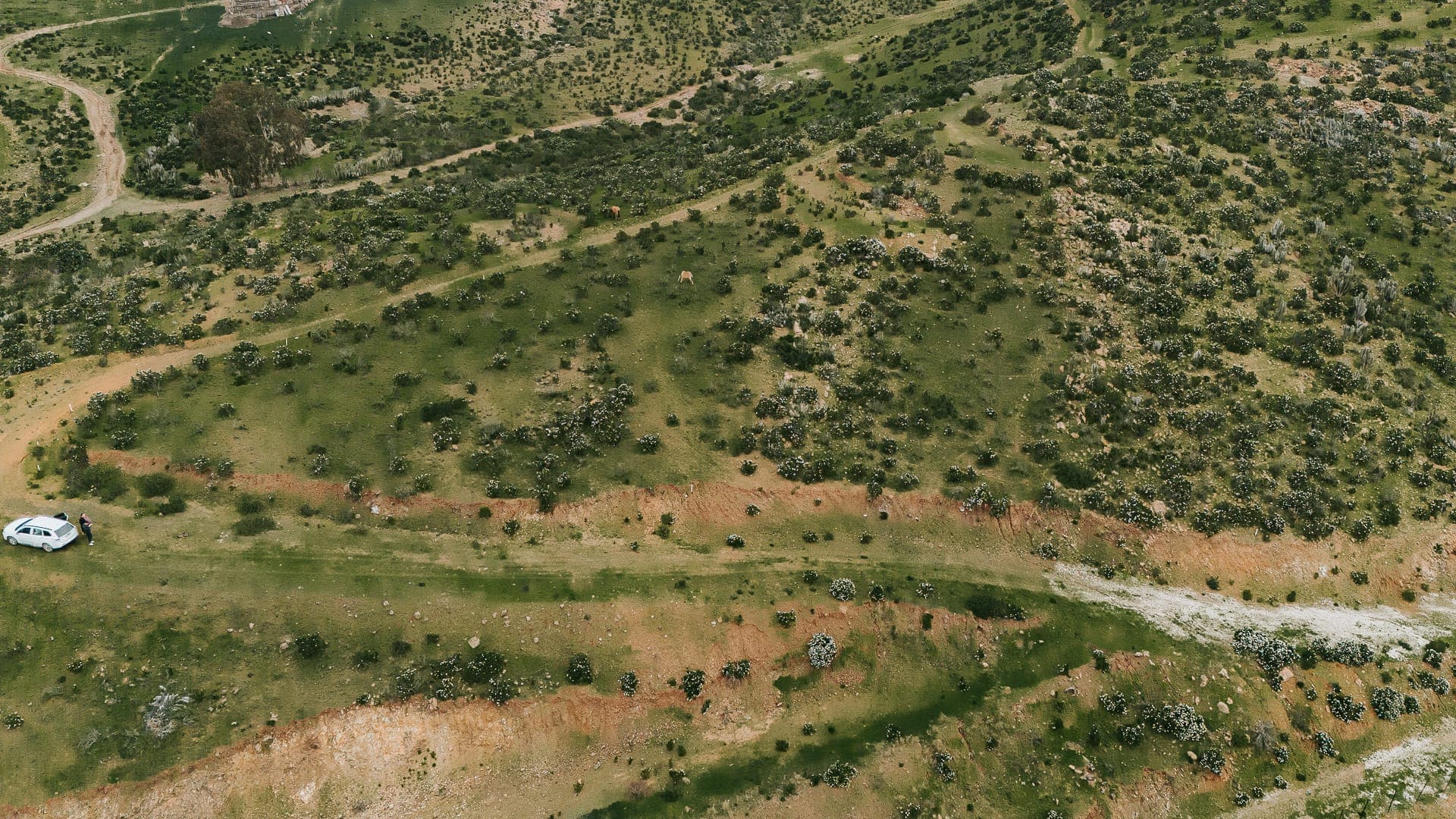 Parcela en El Peñón — foto 1