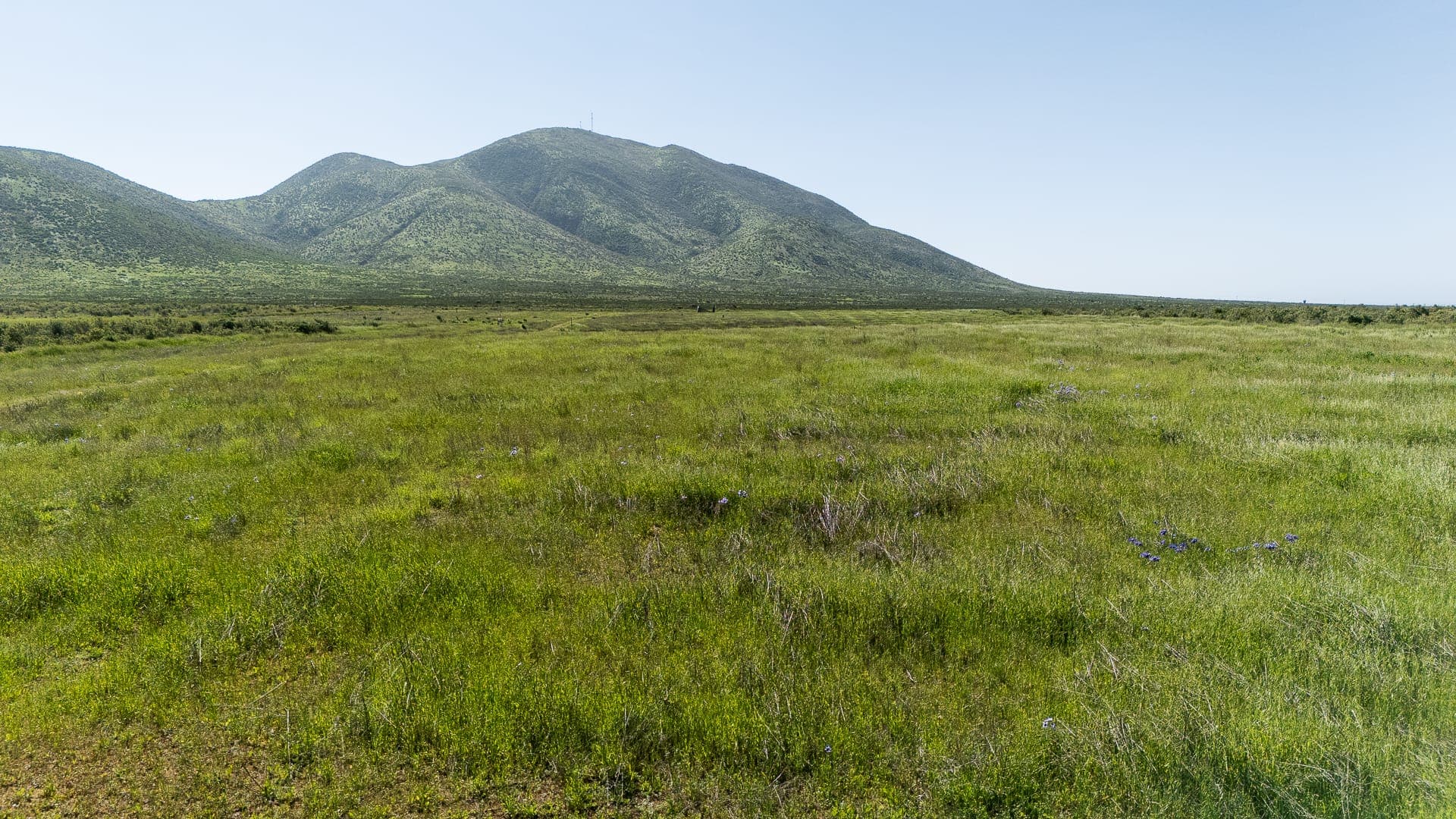 Parcela de 10.000 m² en Guanaqueros, entrada a Tongoy — foto 1