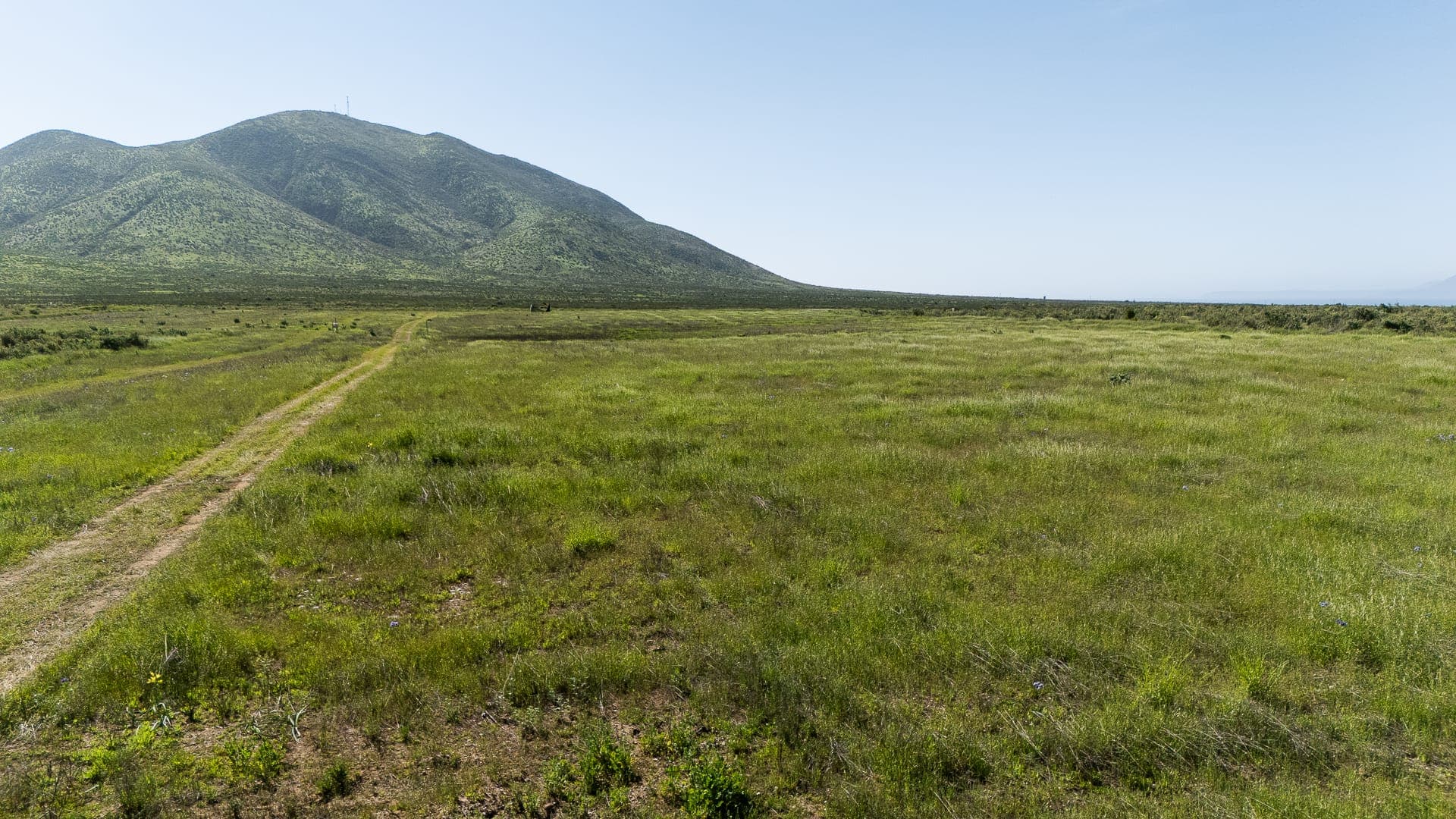 Parcela de 10.000 m² en Guanaqueros, entrada a Tongoy — foto 9