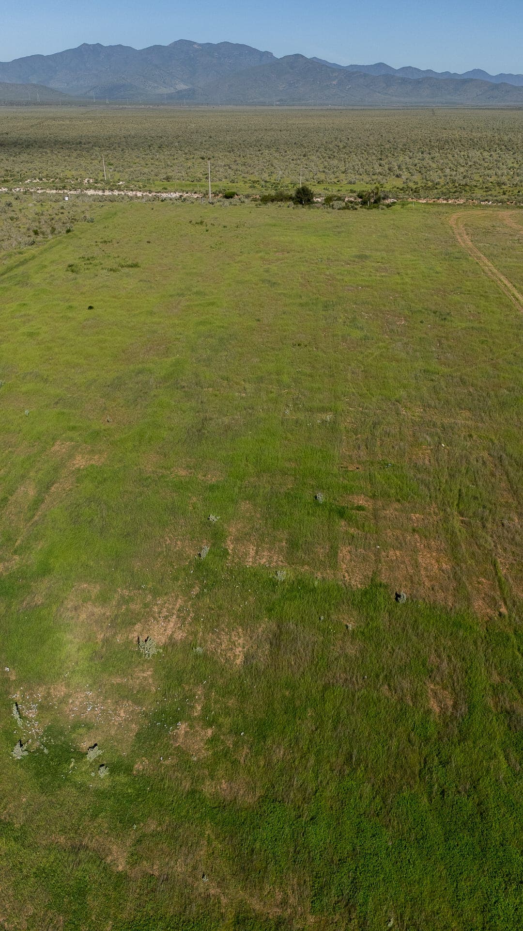 Parcela de 10.000 m² en Guanaqueros, entrada a Tongoy — foto 13